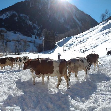 Fusch an der GrossglocknerstrasseBio-Bauernhof Schiederhof公寓 外观 照片