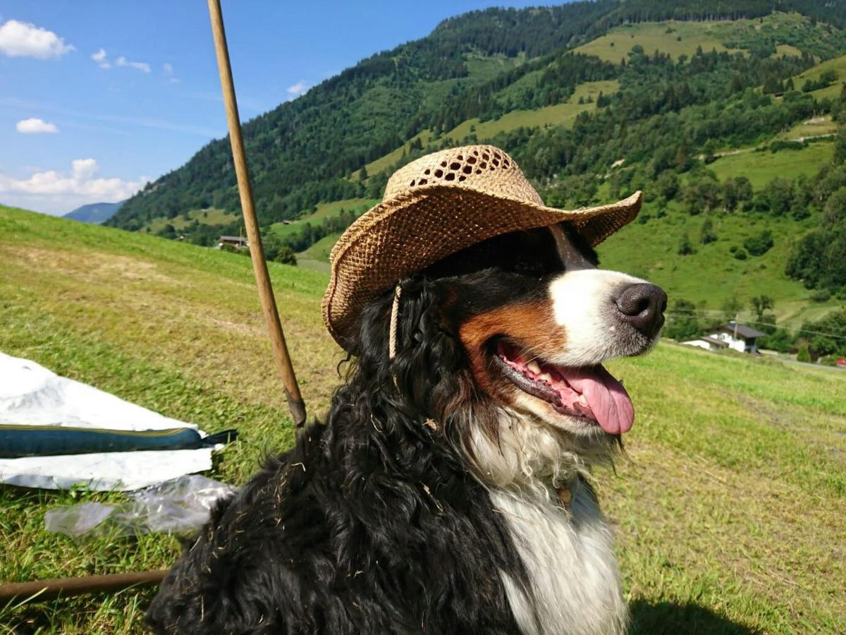 Fusch an der GrossglocknerstrasseBio-Bauernhof Schiederhof公寓 外观 照片