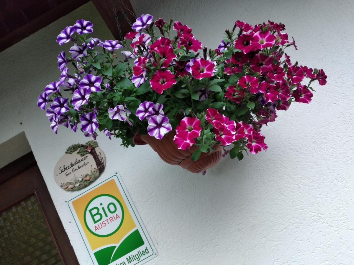 Fusch an der GrossglocknerstrasseBio-Bauernhof Schiederhof公寓 外观 照片