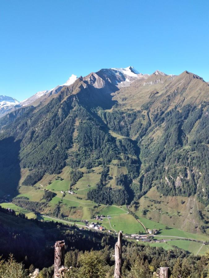 Fusch an der GrossglocknerstrasseBio-Bauernhof Schiederhof公寓 外观 照片