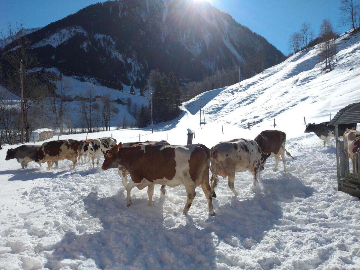 Fusch an der GrossglocknerstrasseBio-Bauernhof Schiederhof公寓 外观 照片